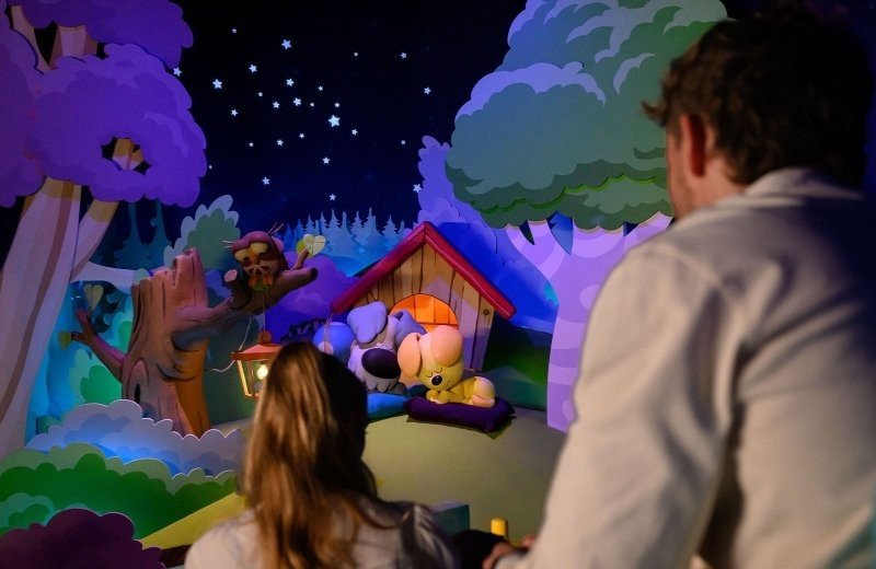 Meer dan 25 attracties en shows