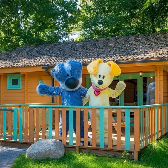 Slapen in de Tovertuin